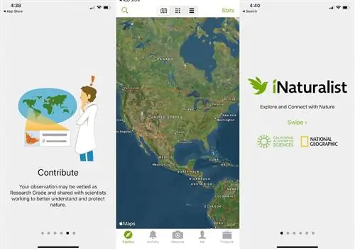 гражданская наука биоразнообразие приложения для птиц inaturalist