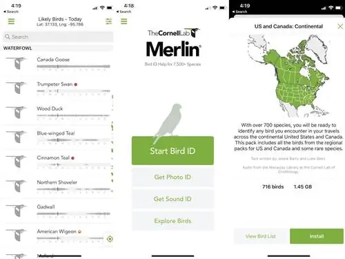 Приложения для смартфонов с птицами и гражданская наука - идентификатор птицы мерлина