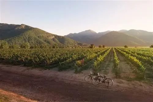Долина Напа и велосипед