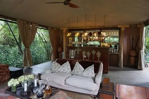 слон-джин-джин-бар