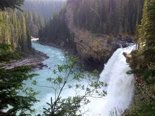Змеиный Индийский водопад - альтернатива разрешениям на водопад Хавасу