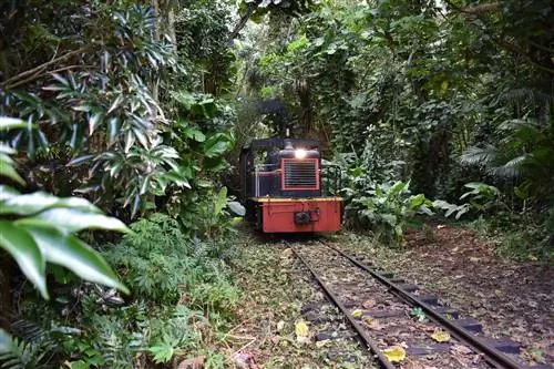 Поездка на поезде в лесу на Кауаи, Гавайи