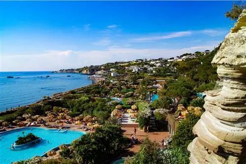 деревья и чистая голубая вода