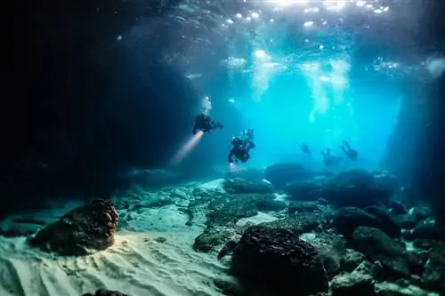 подводное плавание с аквалангом