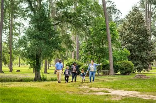 Семейный тур по ферме Airbnb, тур по ресоре