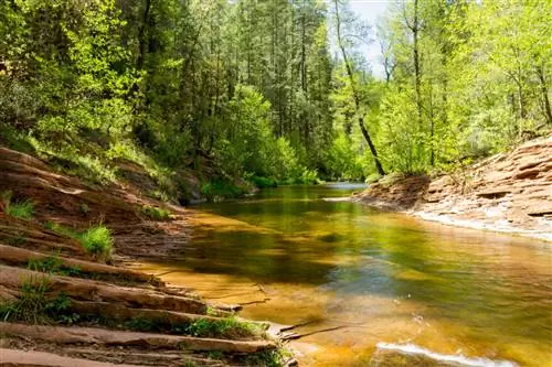 Седоны, плавательные ямы, дубовый ручей возле мыса кузнечиков