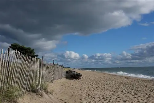 Государственный парк Beach Ocean Hammonasset Beach. Пейзаж океана дюны