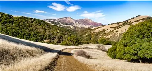 лучшие парки штата калифорния mount diablo