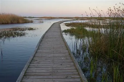 Деревянная дорожка в кемпинге Sea Rim Beach в Техасе