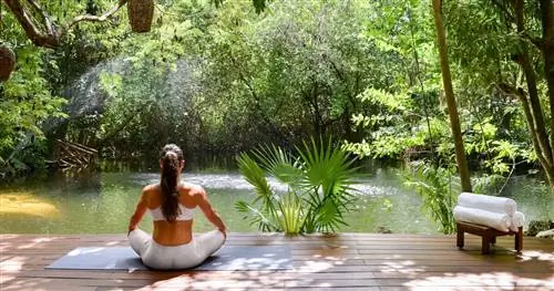 Отель Rosewood Mayakoba - идеальное сочетание роскоши и хорошего самочувствия рядом с Плайя-дель-Кармен
