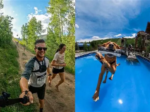 gopro mountain games - бег и собаки