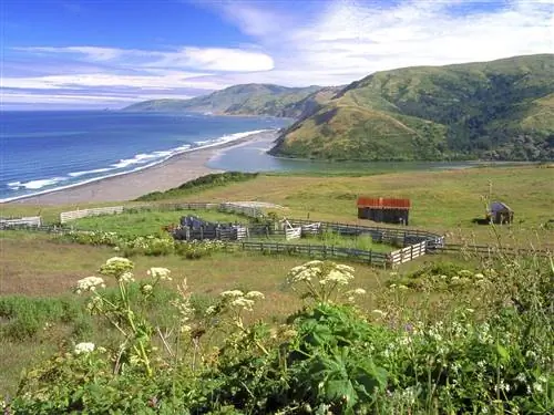 Разбейте свою палатку в этих 10 кемпингах Rad West Coast BLM