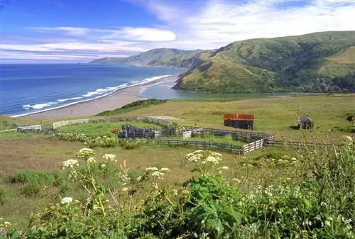 Кемпинг blm в Калифорнии Lost Coast