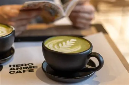 HeroAnimeCafe-матч латте-кафе комиксов
