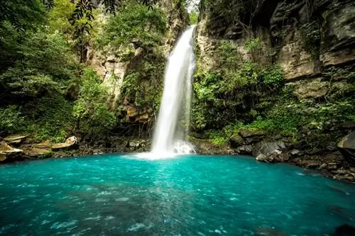 Catarata La Cangreja - один из лучших водопадов Коста-Рики.