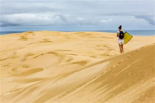 те паки нью xealand дюны