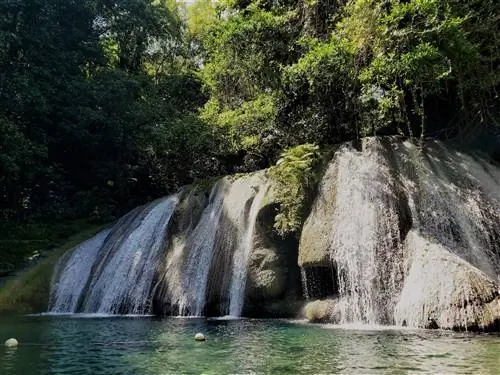 водопады на ямайке - дойти до водопада