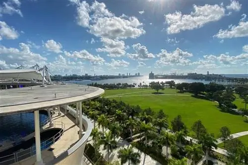 Royal Caribbean Vista в Музее мороза Royal Caribbean Vista в Музее мороза