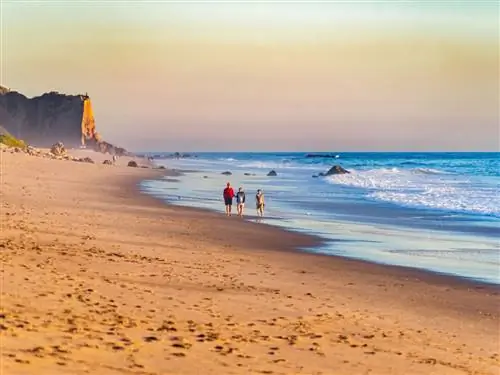 11 самых длинных пляжей в мире, от Индии до Антарктиды