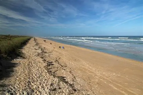 самые длинные пляжи в мире - флорида