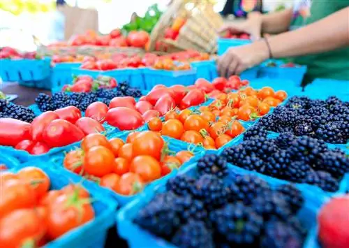 9 фермерских рынков, которые нужно обязательно посетить в Северной Калифорнии