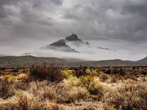 9 мест, которые стоит посетить во время дорожного путешествия по национальному парку Perfect Big Bend