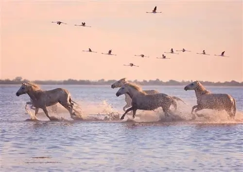 11 мест, которые нужно посетить во Франции, прежде чем умереть