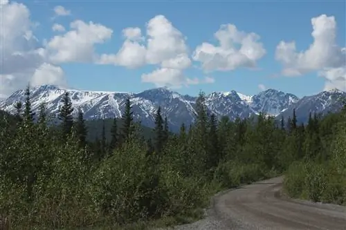 Маккарти Роуд, Аляска