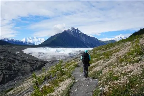 маккарти аляска врангель убегает