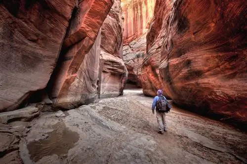 Buckskin Gulch Paria Canyon-Vermilion Cliffs Wilderness, Юта
