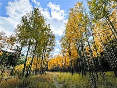 Лучшие государственные парки в Колорадо - Золотые ворота