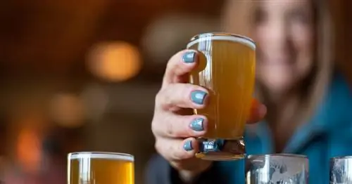 Откройте для себя «Маленькую Швейцарию Америки» в округе Грин, штат Висконсин