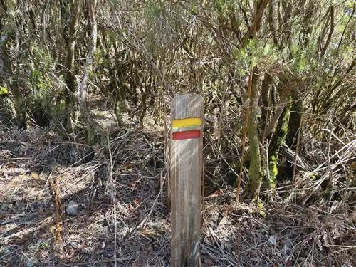 пешие походы