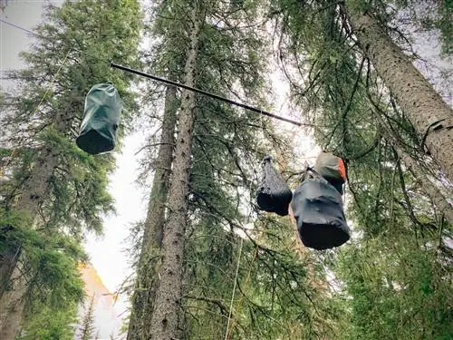 походные условия медвежьи мешки