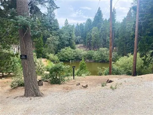 Дом для побега, тропинка с ручьем