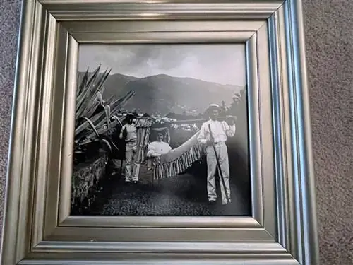 Рейдс Палас Мадерия Женщину несут в гамаке