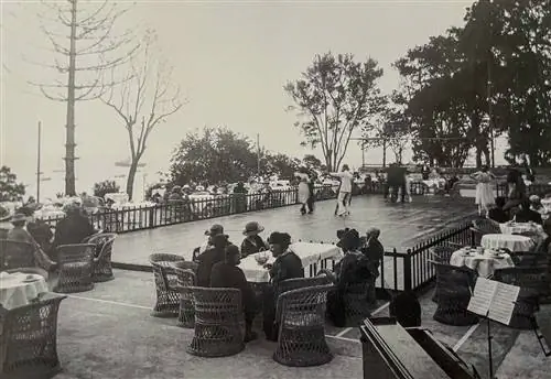 Рейдс Палас Мадейра газон