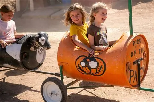 Семейная ферма Стахели - тыквенная грядка недалеко от Лас-Вегаса.