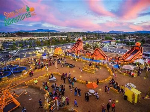 Сезонное тыквенное поле в Лас-Вегасе