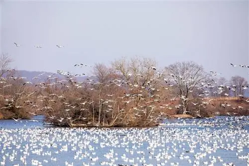 красивые места зона изучения дикой природы