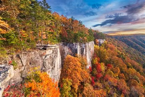 осенняя листва в Вирджинии, одна из лучших осенних поездок в США