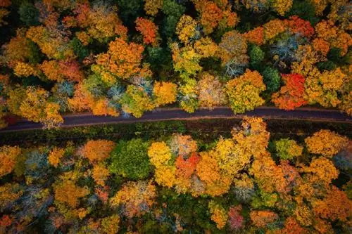 Верхний Мичиган - одно из лучших осенних путешествий в США.