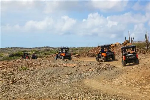 Люди в UTV на грунтовой дороге