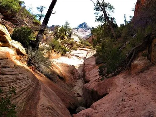 Cascade Falls_Наименее многолюдные пешеходные тропы национального парка Зайон