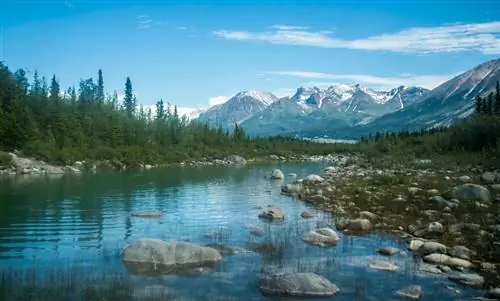 Wrangell-StElias-National Park-and-Preserve-наименее-посещаемые-национальные-парки-1149964385