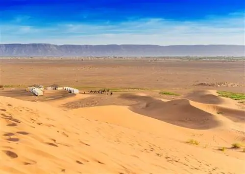 Пять мест, которые стоит посетить прямо сейчас, чтобы получить аутентичные впечатления