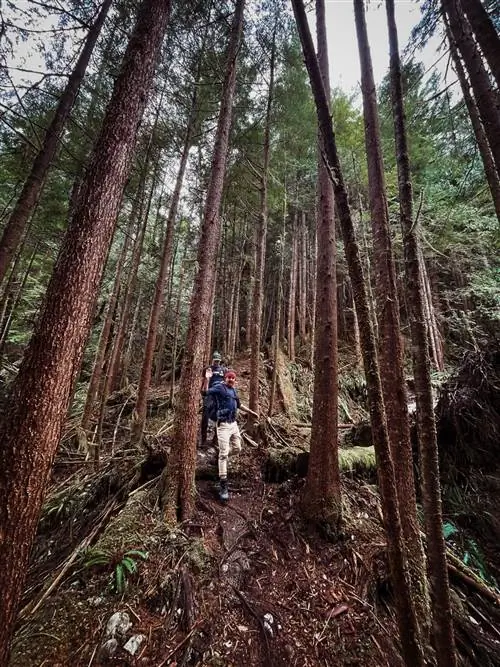 пешие прогулки возле лоджа Clayoquot пешие прогулки возле лоджа Clayoquot