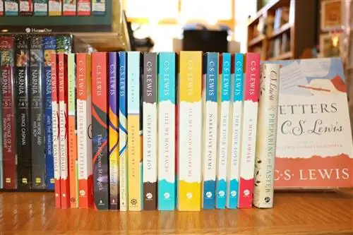 Книги независимых библиотек Траверс-Сити Мичиган