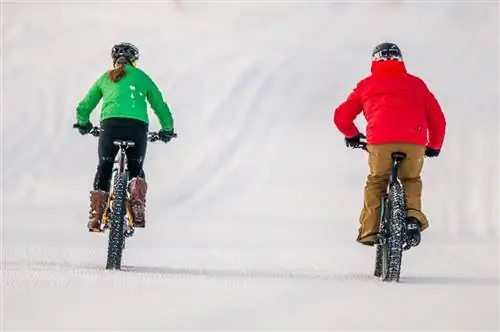 Зимний фэтбайк Traverse City