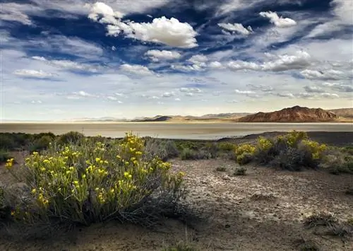 12 невероятных мест, которые стоит посетить во время путешествия по Северной Неваде